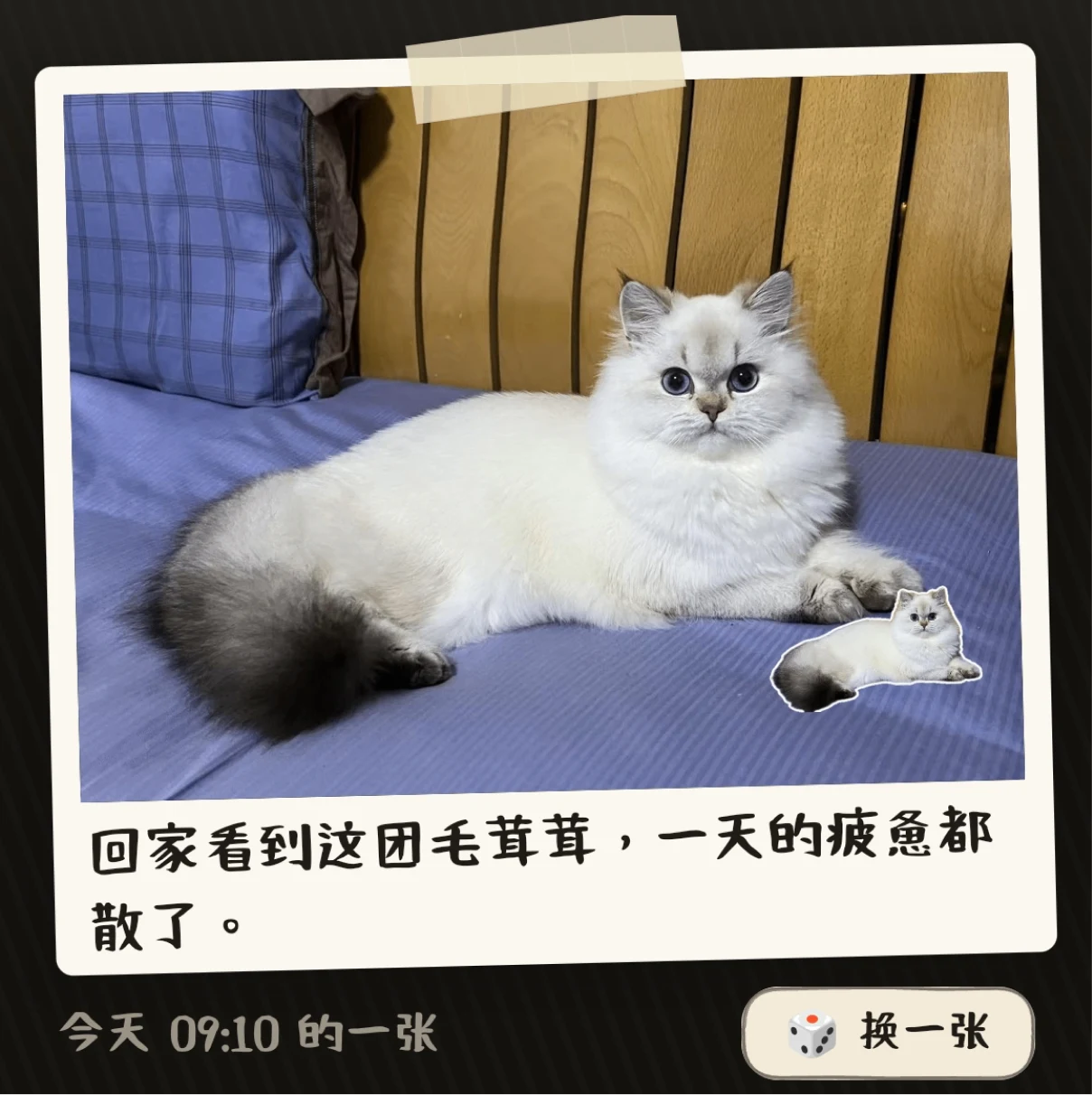 每日记忆场景预览